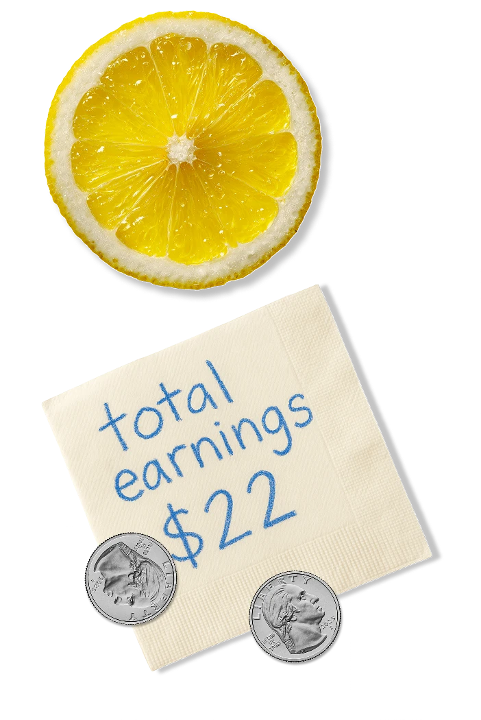 Portfolio earnings chart showing stock growth